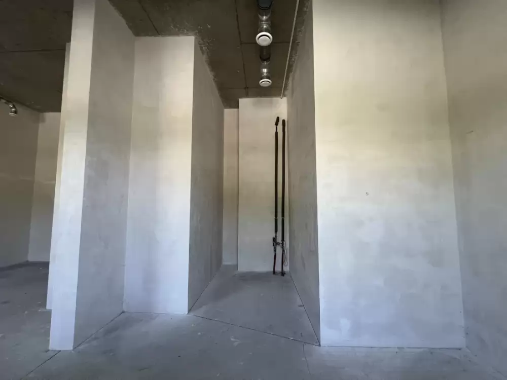 1000265574